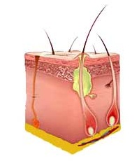 фурункул симптомы лечение