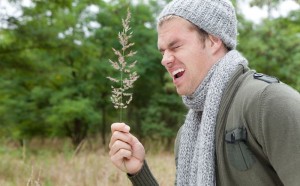 весенняя аллергия